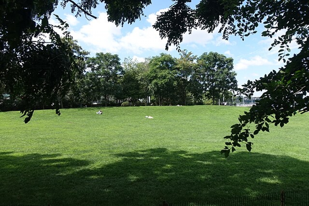 Pier 63 Lawn